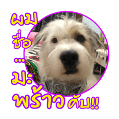 Moonoi_20211129224527