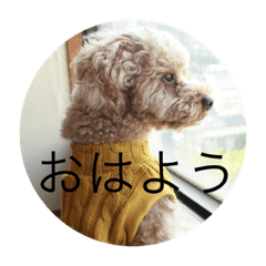 rei_20211129201549
