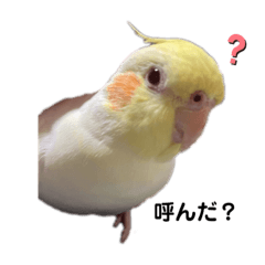 aoi_20211129204024