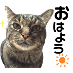 NATSUMI_20211129203833