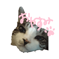 ayumi_20211129232209