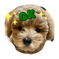 NATSUMI_20211130084333