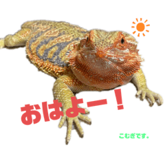 risa_20211130093417