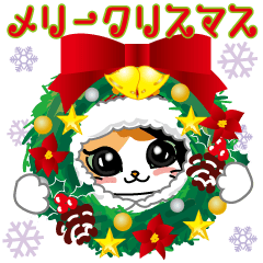 三毛猫ちゃん！ クリスマスバージョン♪