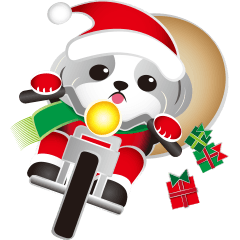 Shih Tzu Dog- FiFi: Merry Christmas