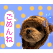 Michan_20211129185655