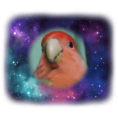 shimo_20211129211108 – LINE stickers | LINE STORE