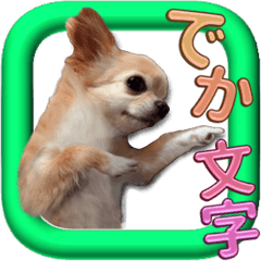 Chihuahua big letters stickers 2