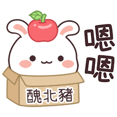 嬌嬌兔姓名貼_醜北豬專用