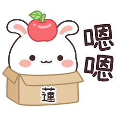 嬌嬌兔姓名貼_蓮專用