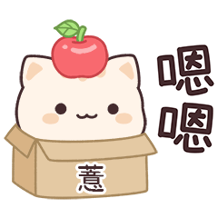 小星貓姓名貼2_薏專用