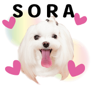 SORA's CUTE STICKER Y