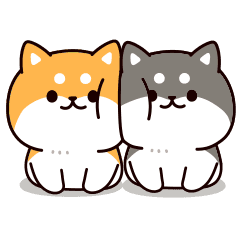 Answer Shiba Dog 2