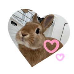 omochi_20211130135720