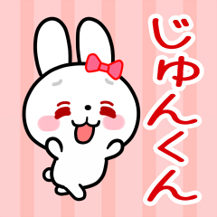 The white rabbit loves Jun-kun