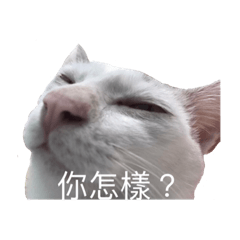 非基因改造紅豆