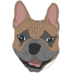 French Bulldog Frenchie