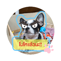 smile_20211130171215