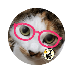 HANA_20211130202831