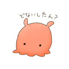 Opisthoteuthis depressa(Kansai dialect)