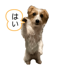 yukomo_20211130211805