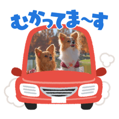 yukari_20211201075549