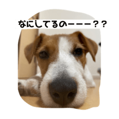 yuka_20211130181846