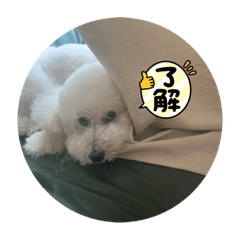つついくーた