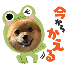 tomoyo_20211130184705