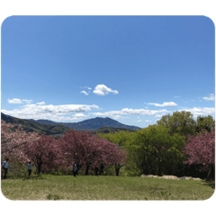 Japanese traditional landscape