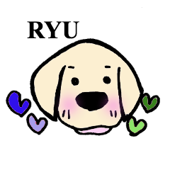 Ryu of the Labrador retriever ver2