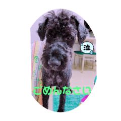 Honey_20211201093322