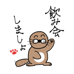 noma noma Sea otter