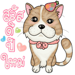 Toffy cat_New year