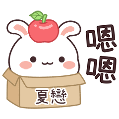 嬌嬌兔姓名貼_夏戀專用