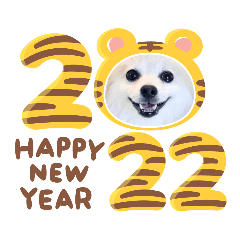 Chana Year-end and New Year stickers2022