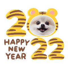 Cyoco Year-end and New Year stickers2022