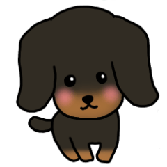 mini_ dachshund