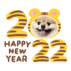 Noah Year-end and New Year stickers 2022