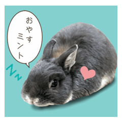 Rabbit mint sticker