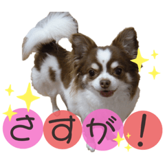 Saori_20211201201743