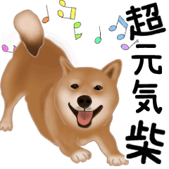 元気いっぱいの柴犬