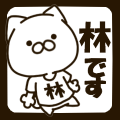 HAYASHI-cat