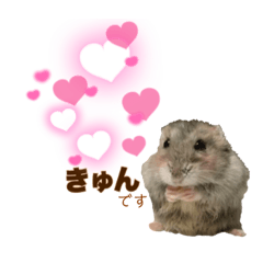 konatsu_20211201205855