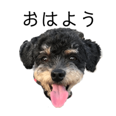 AKIKO_20211201232424