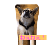 stamp of hana 3