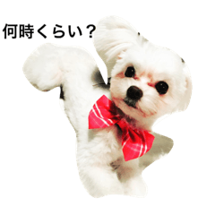 Ravi.chiwamaru