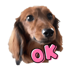 saori_20211202082947