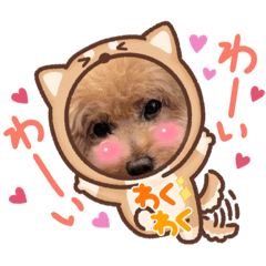 ramucho_20211201191842