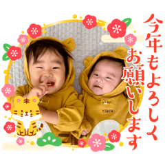 RISA_20211202102100